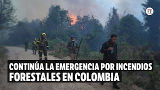 Incendios forestales en Colombia arrasaron más de 9.000 hectáreas | El Espectador