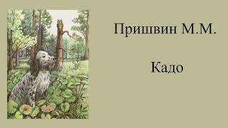 Пришвин Михаил "Кадо"