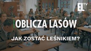 Jak zostać leśnikiem? | Oblicza lasów #2