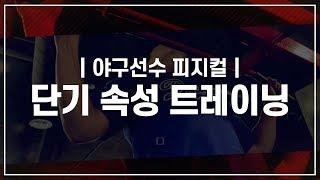 야구 선수 피지컬 단기 속성 트레이닝 (더원운동과학센터)