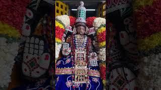 Uthiramerur Sri Anandavali Thayar dhivya sevai|Uthiramerur Sri Sundaravaradaraja Perumal Temple
