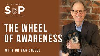 Dan Siegel and the Wheel of Awareness