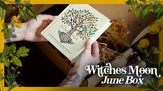 The Witches Moon June Unboxing