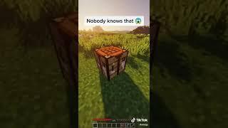 Nobody Knows That! Cap / Fact? #Minecraft