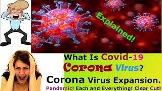 What is Corona Virus | Covid-19 Explained | 2020