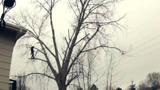 Building a Cottonwood  -time lapse