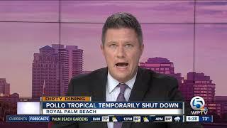 Pollo Tropical in Royal Palm Beach temporarily closed for roaches, insects