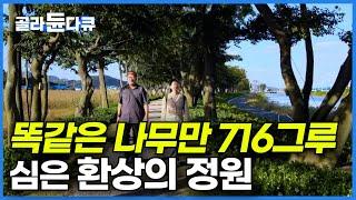 전국 각지에서 기부받은 716그루 나무만 심겨 있는 환상의 정원ㅣ외딴섬에 이렇게 멋진 곳이?ㅣ한국기행│#골라듄다큐