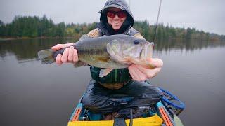 Fall Bass Fishing with ONLY Two Lures. Finesse Jig vs Spinnerbait