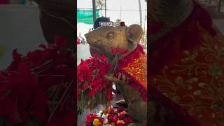 गणपतीपुळे दर्शन  #shorts #trending #youtubeshorts  #ganpatipule #konkan