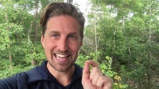 How to manage a steady stream of 5-star reviews - Advice for tour guides and tour businesses