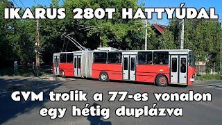 2024.09.23. Ikarus-280T (GVM) trolik 77-es vonalon. Egy hétig duplázva, de ez már a hattyúdal.