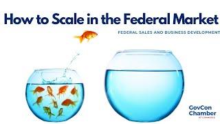 How to Scale in the Federal Market | Scaling Gap Analysis  | Federal Sales and Business Development