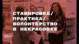 Стажировка в Некрасовке