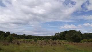 Highgate Common, South Staffordshire