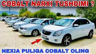 COBALT NARXLARI 2024 КОБАЛЬТ НАРХЛАРИ 2024.SAMARQAND MOSHINA BOZORI 2024 САМАРКАНД МОШИН БОЗОР 2024