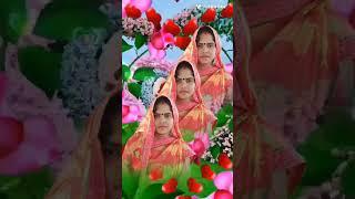 Sarita Singh Rao
