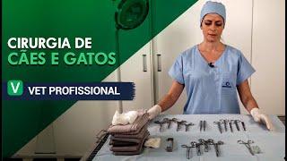 Cirurgia de Cães e Gatos l VET Profissional