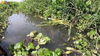 FISHING ADVENTURE PHILIPPINES #18 (BUHAY PROBINSYANO) CATCH & COOK !!