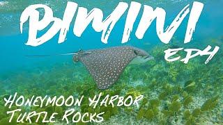 Bimini Bahamas Ep4 | Honeymoon Harbor | Turtle rocks | Sapona Shipwreck | Bimini Crossing | DJI