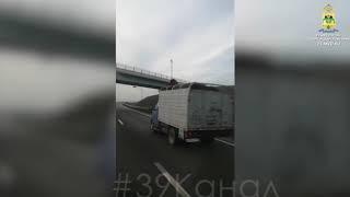 В Анапе задержали конокрада