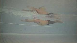 Total Immersion Breaststroke Demo by Shinji Takeuchi