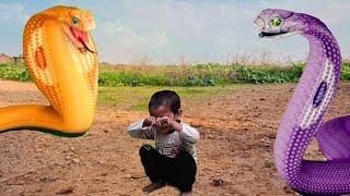 Big yellow snake attack || snake video || saamp wala video