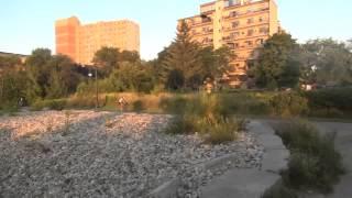 Toronto Sunrise 2014 08 19 West End Mimico By The Lake Norris Cres Park shoreline vista