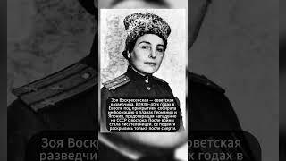 ГИТЛЕР ЕЕ БОЯЛСЯ! #ссср #история #россия