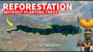 How They Transformed Desert Into Fertile Farmland & Forests