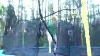 Double frontflip