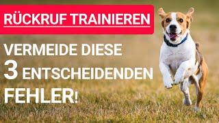  Stephanie Salostowitz ️Vermeide diese 3 entscheidenden Fehler beim Rückruftraining für Hunde ️