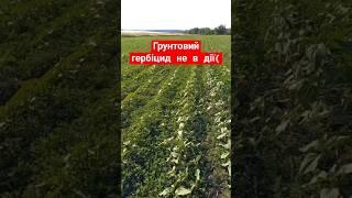 0️⃣6️⃣7️⃣6️⃣1️⃣3️⃣3️⃣9️⃣9️⃣7️⃣ #гебріцид #грунтовий #удобрения #поле #фермер #садогород
