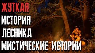 Рассказ лесника мистические истории в сибирской тайге и деревне. Мистические страшные истории.