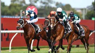 VIA SISTINA (James McDonald) - G1 Ranvet Stakes 2024