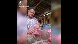 how souljapup Kennels Jamaica prepare food for 13 German shepherd dog if not feeding raw