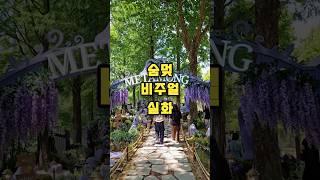  입장료 없는 서울 데이트 명소?   A top-tier Seoul date spot with no entrance fee?