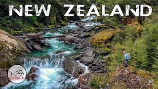 Fly Fishing for HUGE NEW ZEALAND Rainbow and Brown TROUT - CEDAR LODGE New Zealand