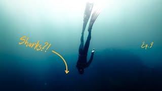 Freediving a shipwreck!!