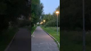 Evening Alley, Moscow, Russia, 25.07.2024