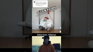 [Wellerman] I thought it was a cool sound but it's my mom #ASMR #chickenmom #ShantyTok #SeaShanty