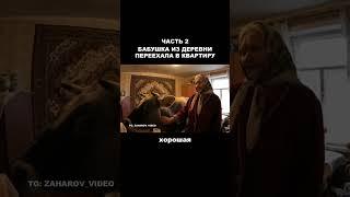 Бабушка переехала из деревни в квартиру с животными, часть 2, продолжение (Нейросеть Veo3)
