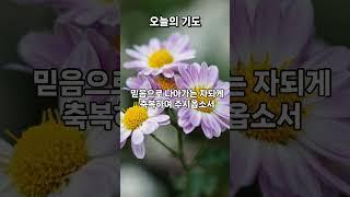 "주의 권능의 손으로 붙잡아 주옵소서" #오늘의기도 #은혜로운채널