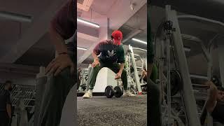 Day 3 | Pull Workout | 100 days 100 reels Challenge  #mohit #mohitchhikara