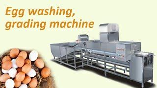 Chicken/duck/quail egg processing line with washing, drying, grading,candling, breaking machine