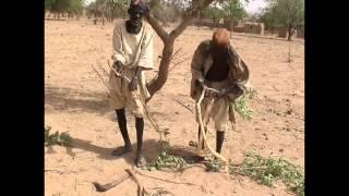 Smelting Iron in Africa (A DEMONSTRATION)