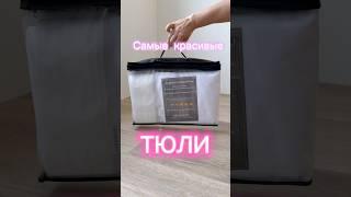 Подборка самых красивых тюлей #тюль #дом #шторы #didadom #ручнаяработа #квартира#интерьер #спальня