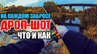 ДРОП - ШОТ. Как Ловить МНОГО? Делюсь ОПЫТОМ. #дропшот #рыбалка #fishing #окунь #спиннинг