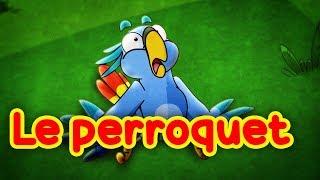 Le perroquet - "Les Oiseaux du Paradis" Bébé