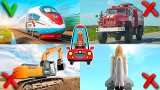 Transport for children. Cartoon about cars. Educational video for kids